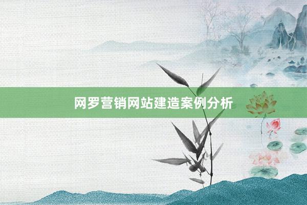 网罗营销网站建造案例分析