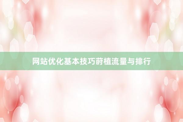 网站优化基本技巧莳植流量与排行