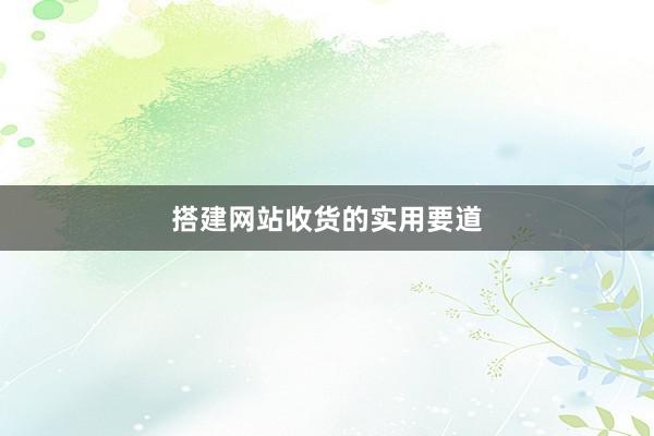 搭建网站收货的实用要道