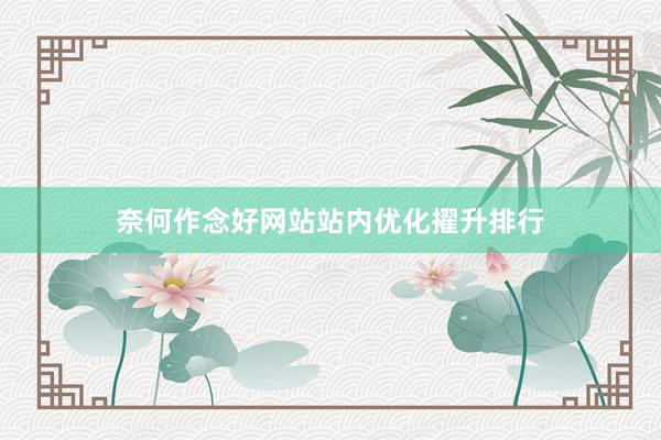 奈何作念好网站站内优化擢升排行