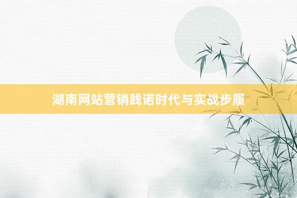 湖南网站营销践诺时代与实战步履