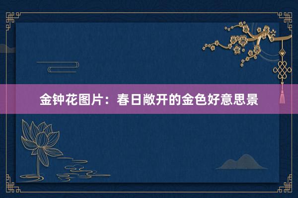 金钟花图片：春日敞开的金色好意思景