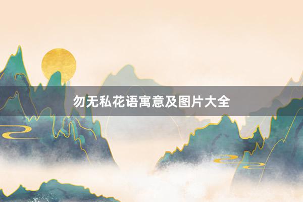 勿无私花语寓意及图片大全